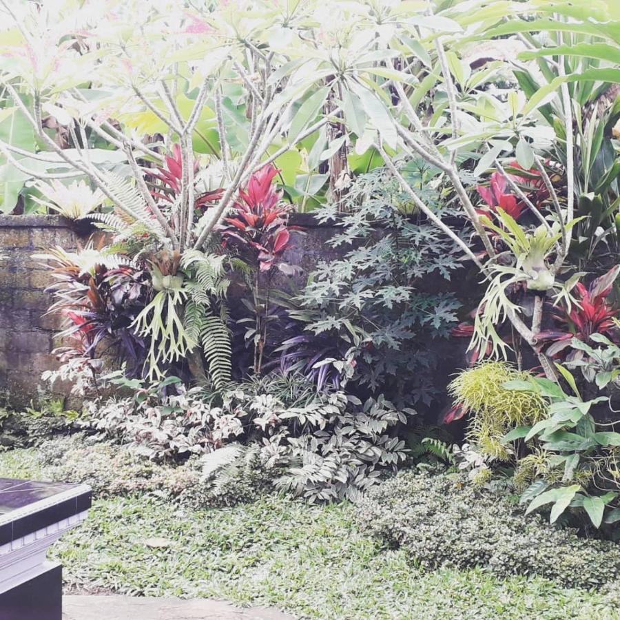 D'Sari Undisan Houses Bangli Exterior foto